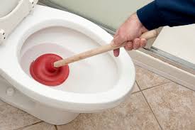 deboucher-la-toilette