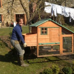 Comment construire un beau poulailler à petit prix ?