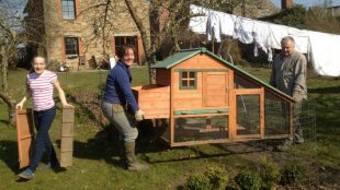 Comment construire un beau poulailler à petit prix ?