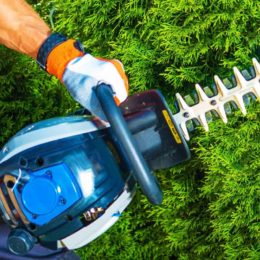 Entretien du jardin : à quoi sert un coupe-bordure ?