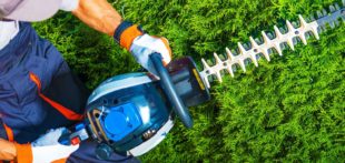 Entretien du jardin : à quoi sert un coupe-bordure ?