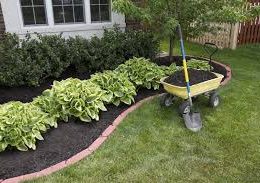 Pailler : un geste de jardinage utile