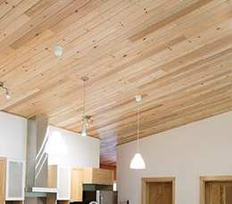 Plafond : comment bien choisir ?