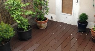Comment créer une haie sur sa terrasse ?