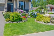 Entretenez et décorez votre jardin