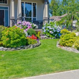 Entretenez et décorez votre jardin